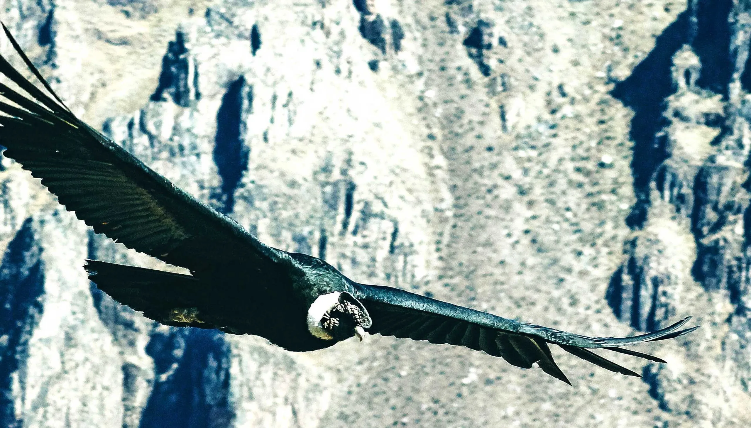 Colca Canyon – Full day